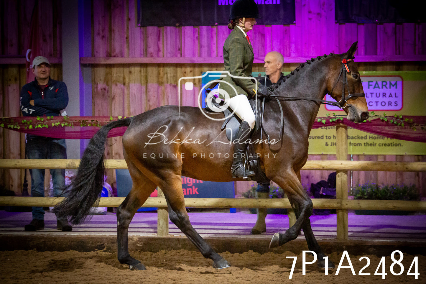 JHOYS 2025 - Ridden Showing - 28th September - pt2