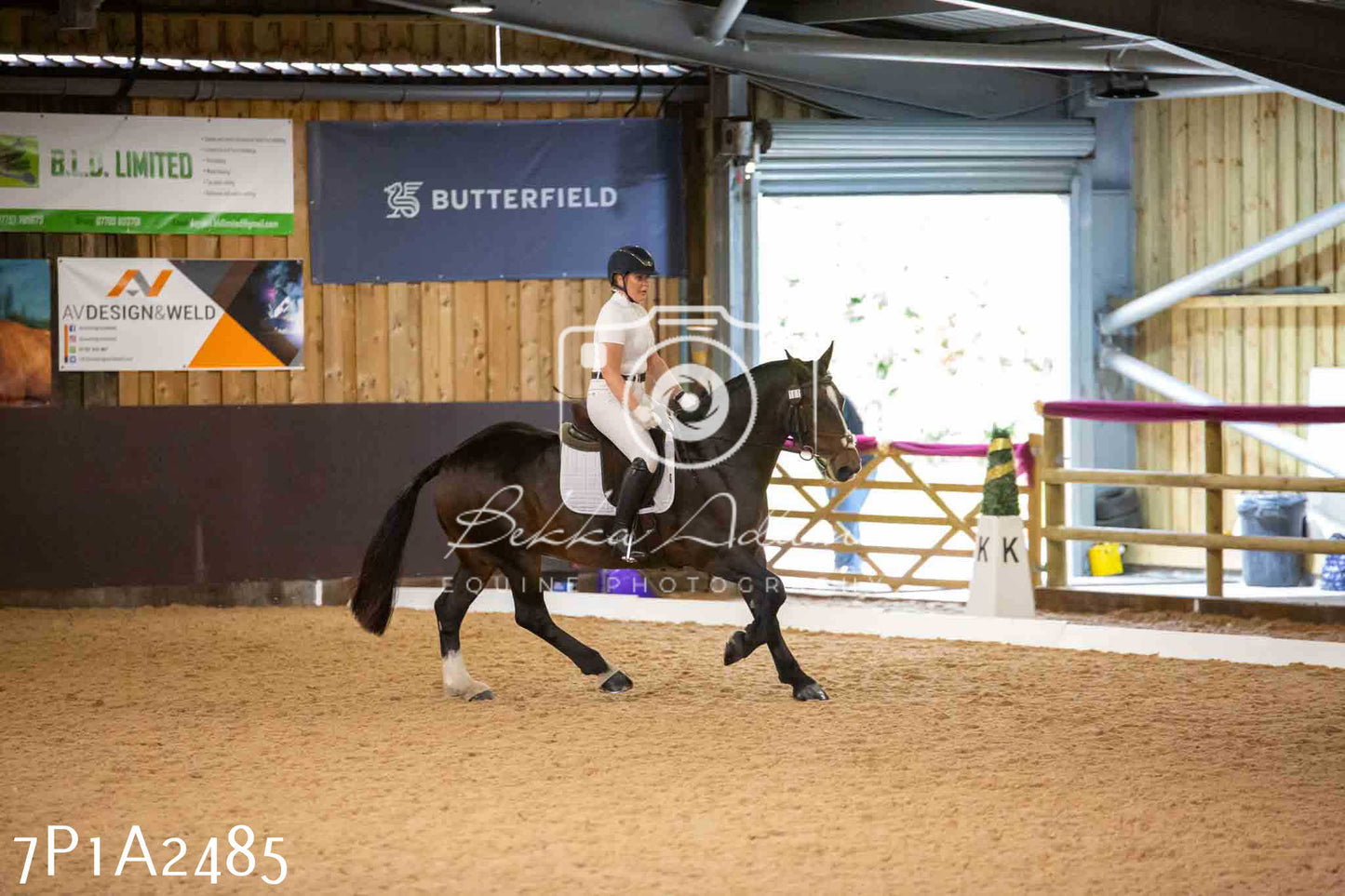 JHOYS 2023 - 6th September - Dressage