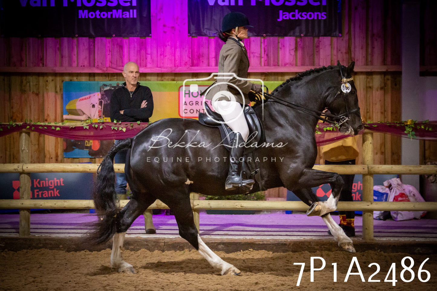 JHOYS 2025 - Ridden Showing - 28th September - pt2