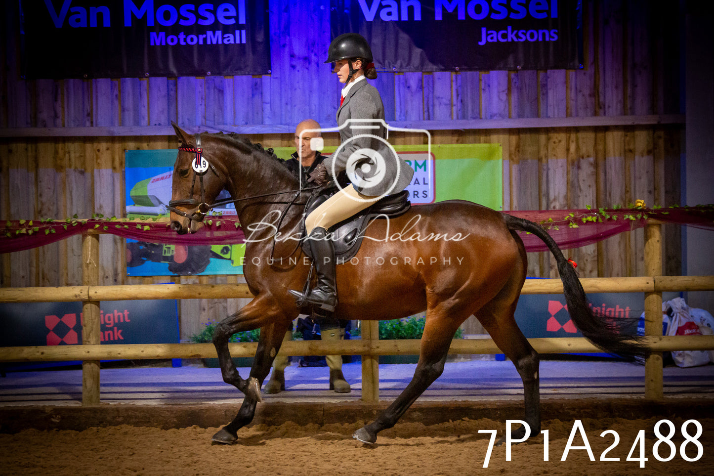 JHOYS 2025 - Ridden Showing - 28th September - pt2