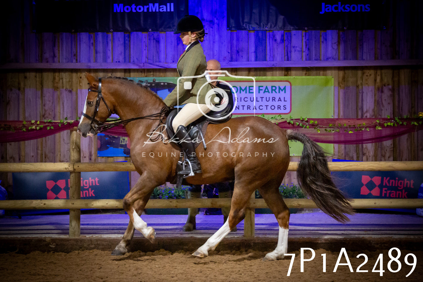 JHOYS 2025 - Ridden Showing - 28th September - pt2