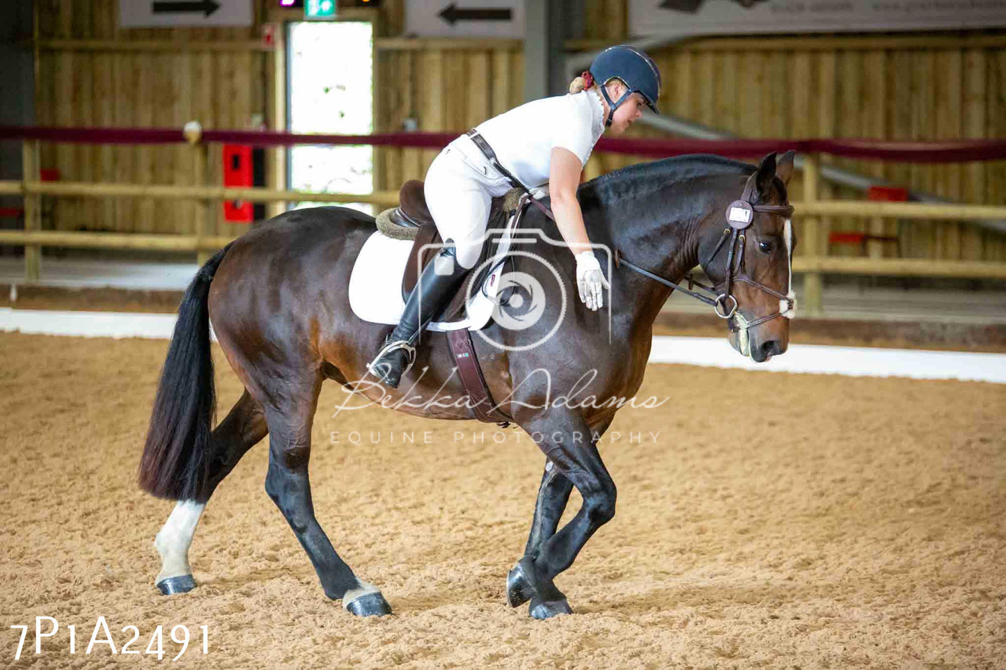 JHOYS 2023 - 6th September - Dressage