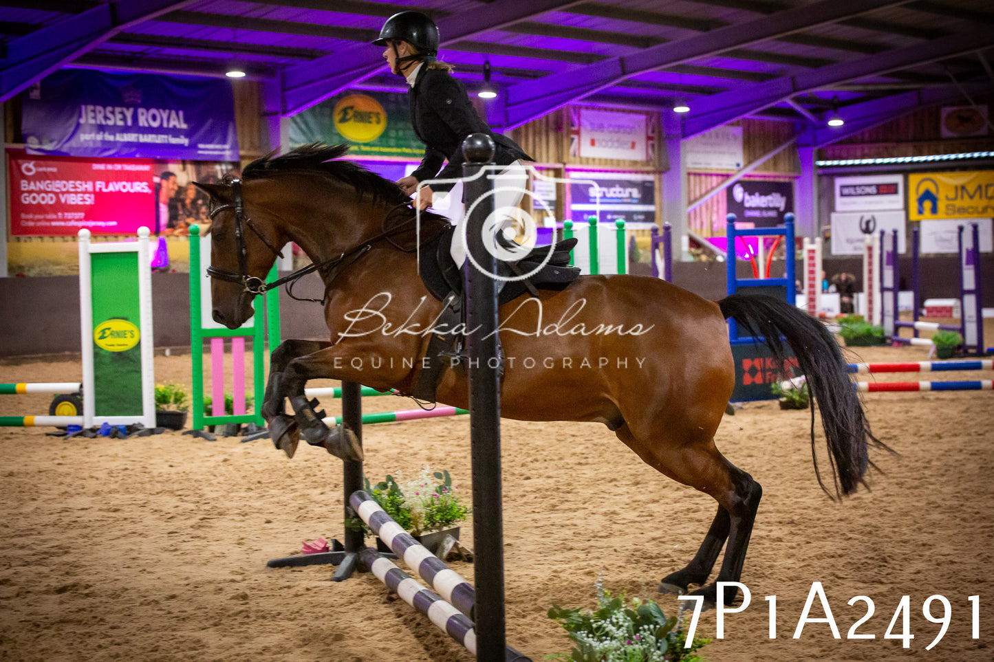 JHOYS 2025 - Show Jumping - 20th September pt1
