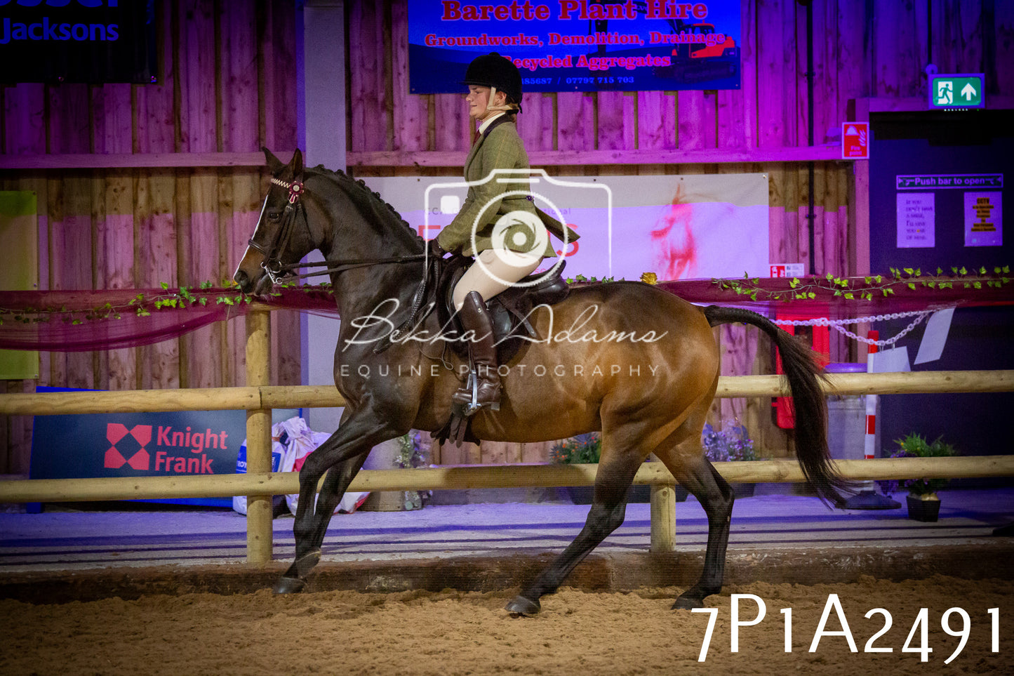 JHOYS 2025 - Ridden Showing - 28th September - pt2
