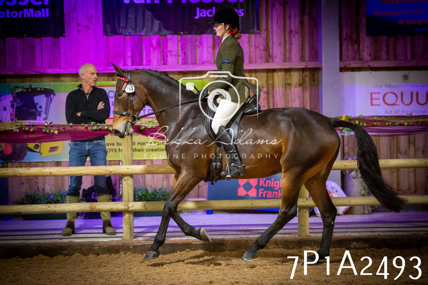 JHOYS 2025 - Ridden Showing - 28th September - pt2
