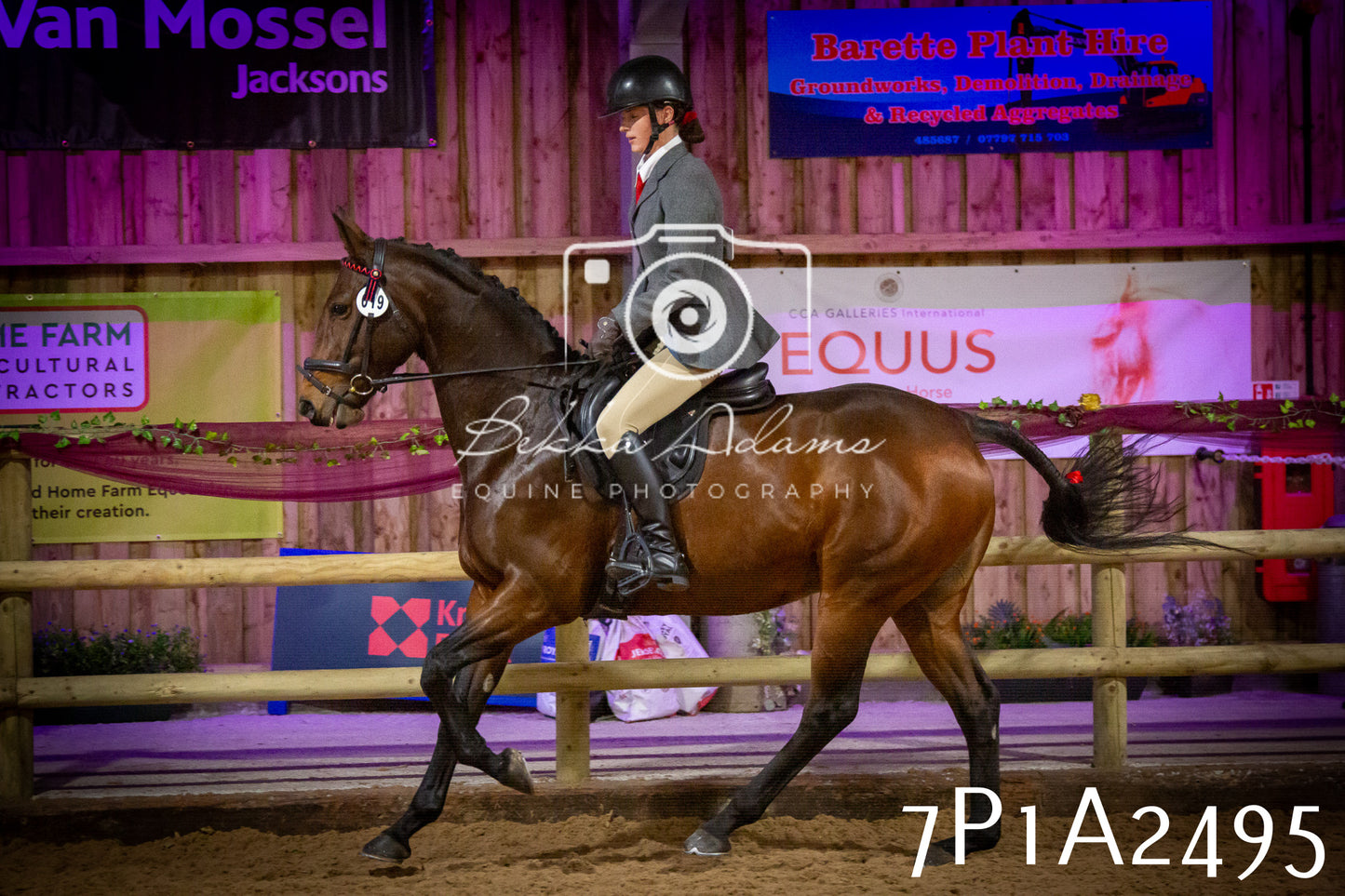 JHOYS 2025 - Ridden Showing - 28th September - pt2