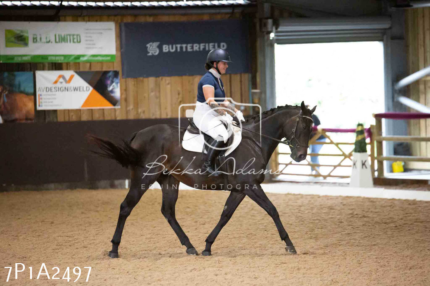 JHOYS 2023 - 6th September - Dressage