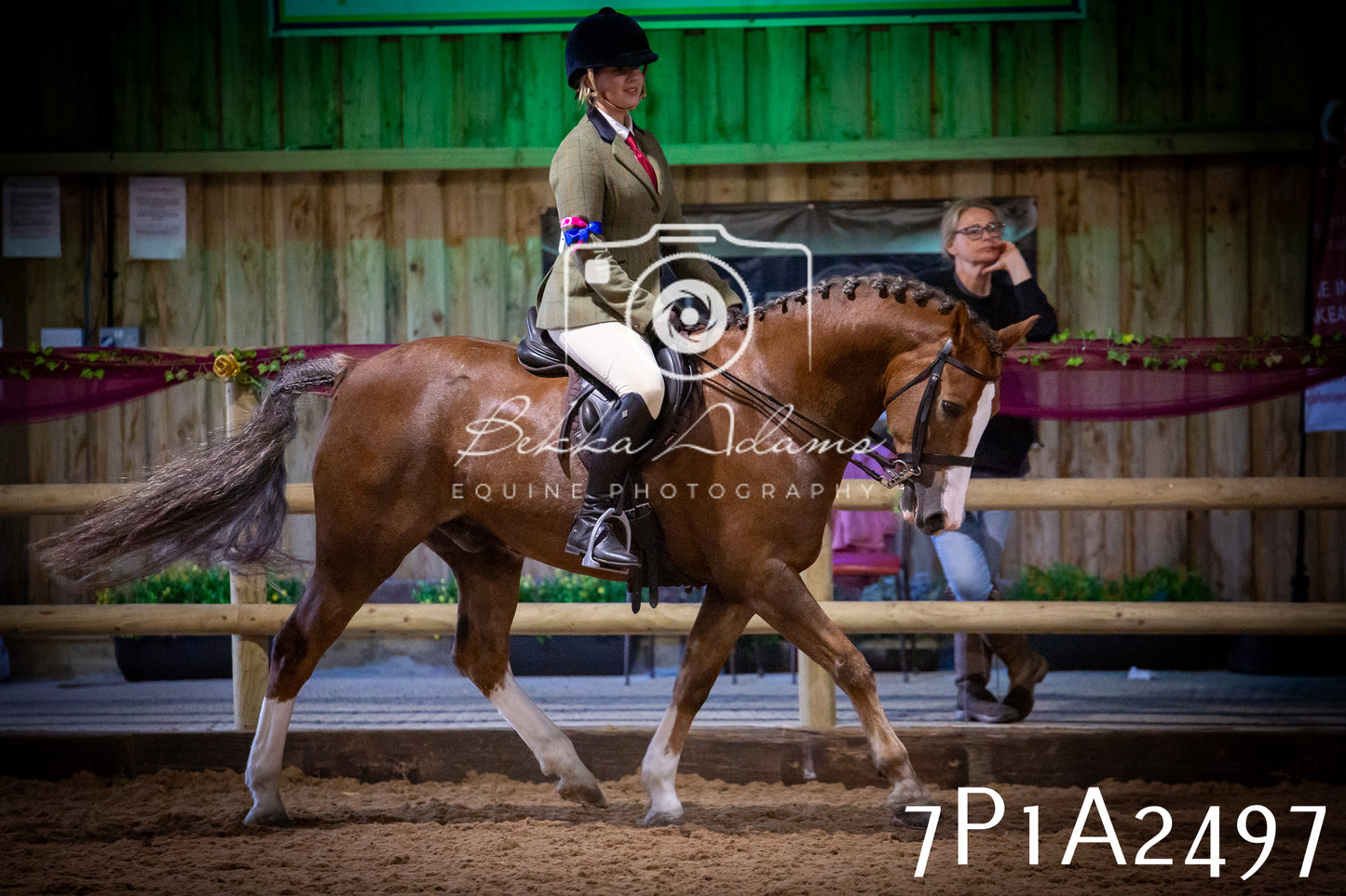 JHOYS 2025 - Ridden Showing - 28th September - pt2