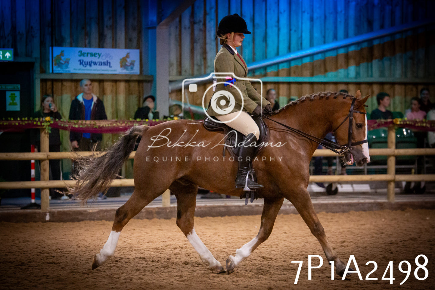 JHOYS 2025 - Ridden Showing - 28th September - pt2