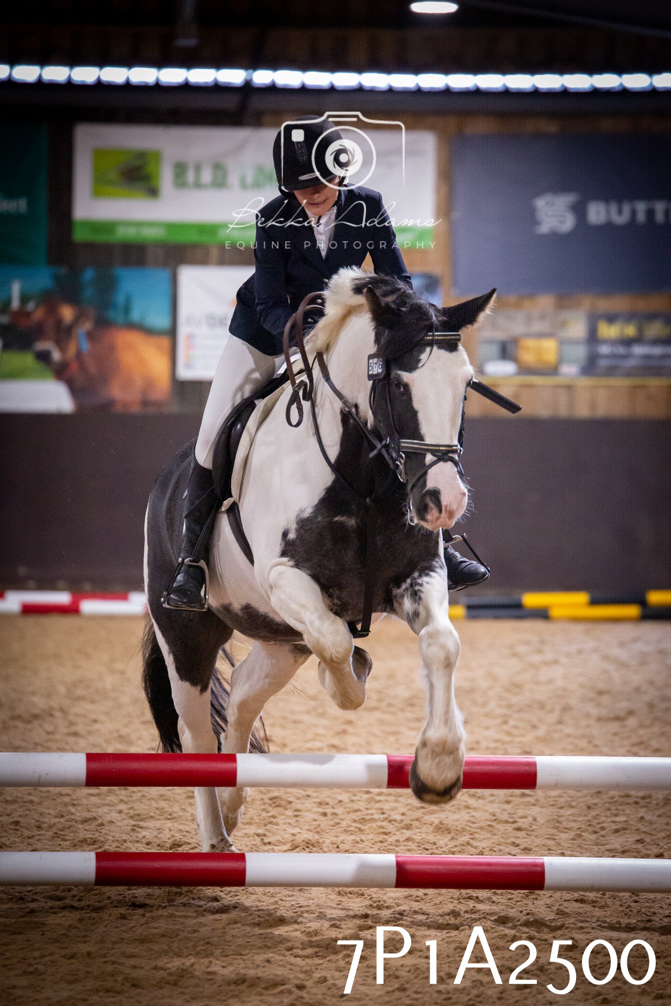 JHOYS 2025 - Show Jumping - 20th September pt1