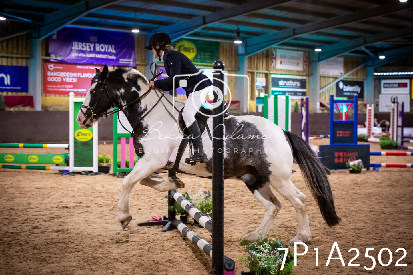 JHOYS 2025 - Show Jumping - 20th September pt1