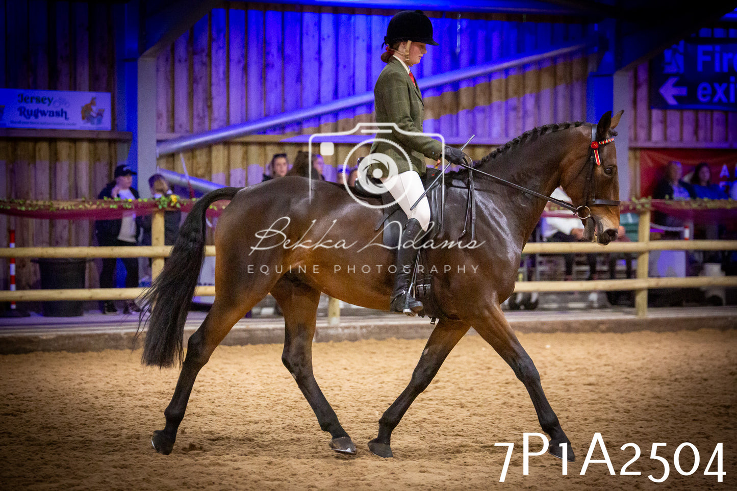 JHOYS 2025 - Ridden Showing - 28th September - pt2