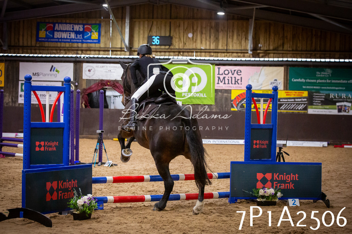 JHOYS 2025 - Show Jumping - 20th September pt1