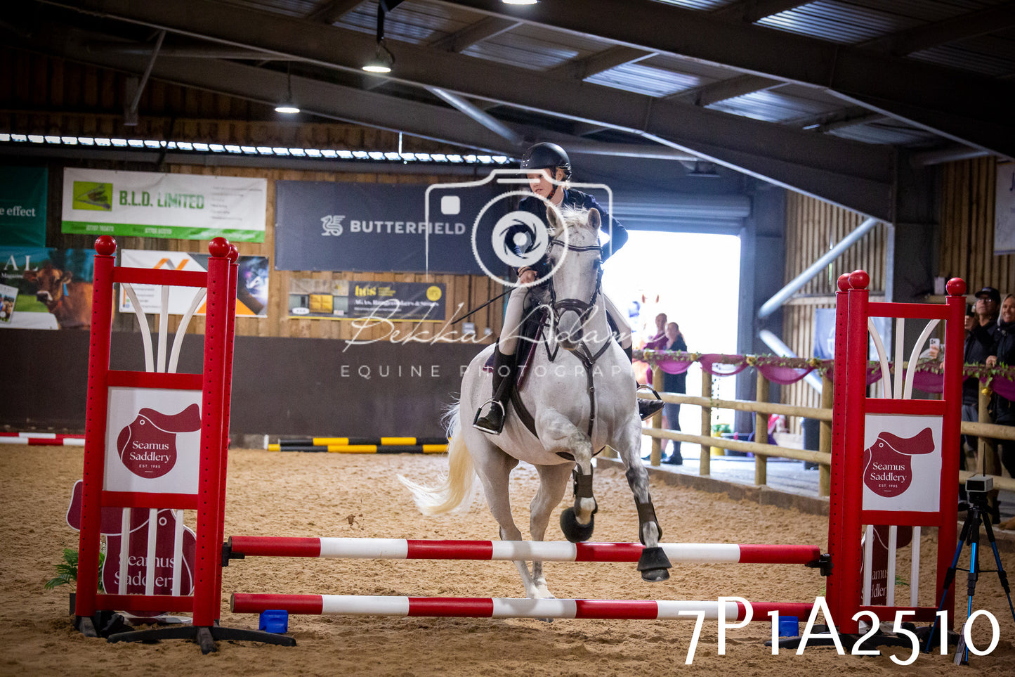 JHOYS 2025 - Show Jumping - 20th September pt1