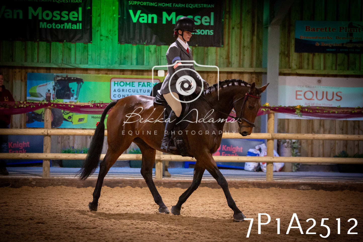JHOYS 2025 - Ridden Showing - 28th September - pt2
