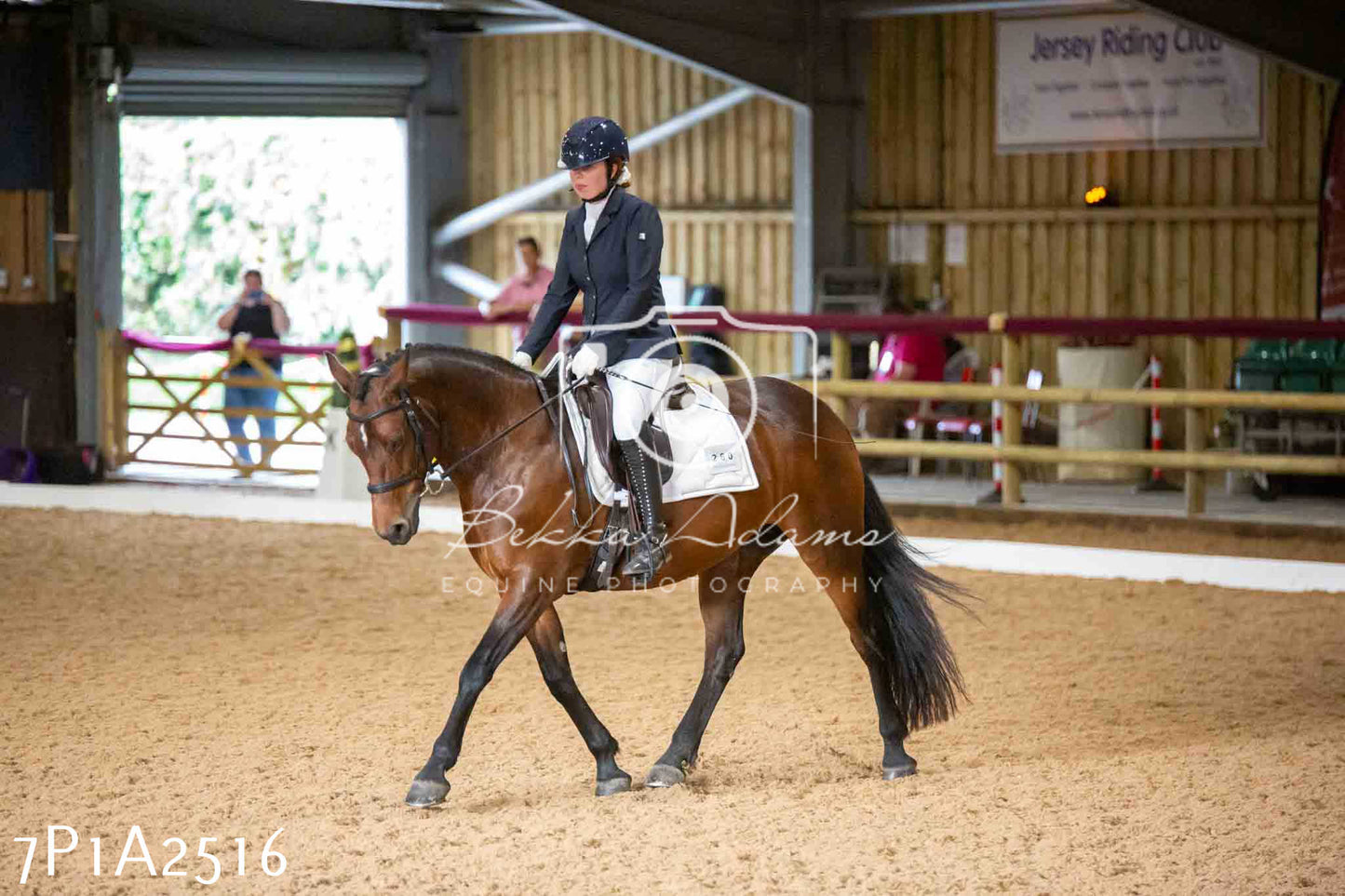 JHOYS 2023 - 6th September - Dressage
