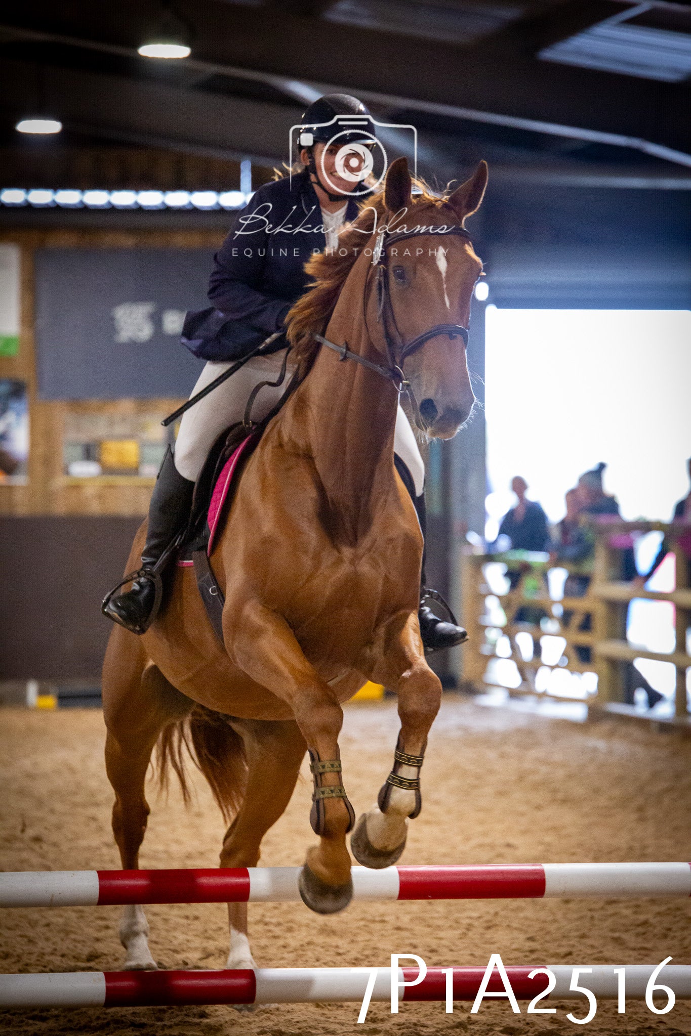 JHOYS 2025 - Show Jumping - 20th September pt1
