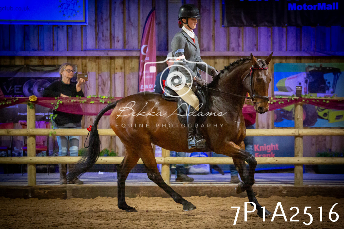 JHOYS 2025 - Ridden Showing - 28th September - pt2
