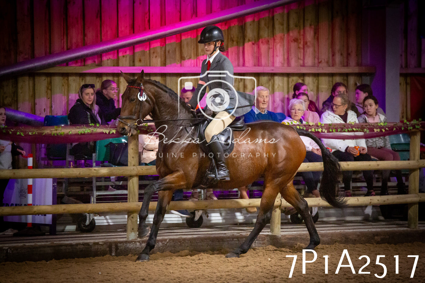 JHOYS 2025 - Ridden Showing - 28th September - pt2