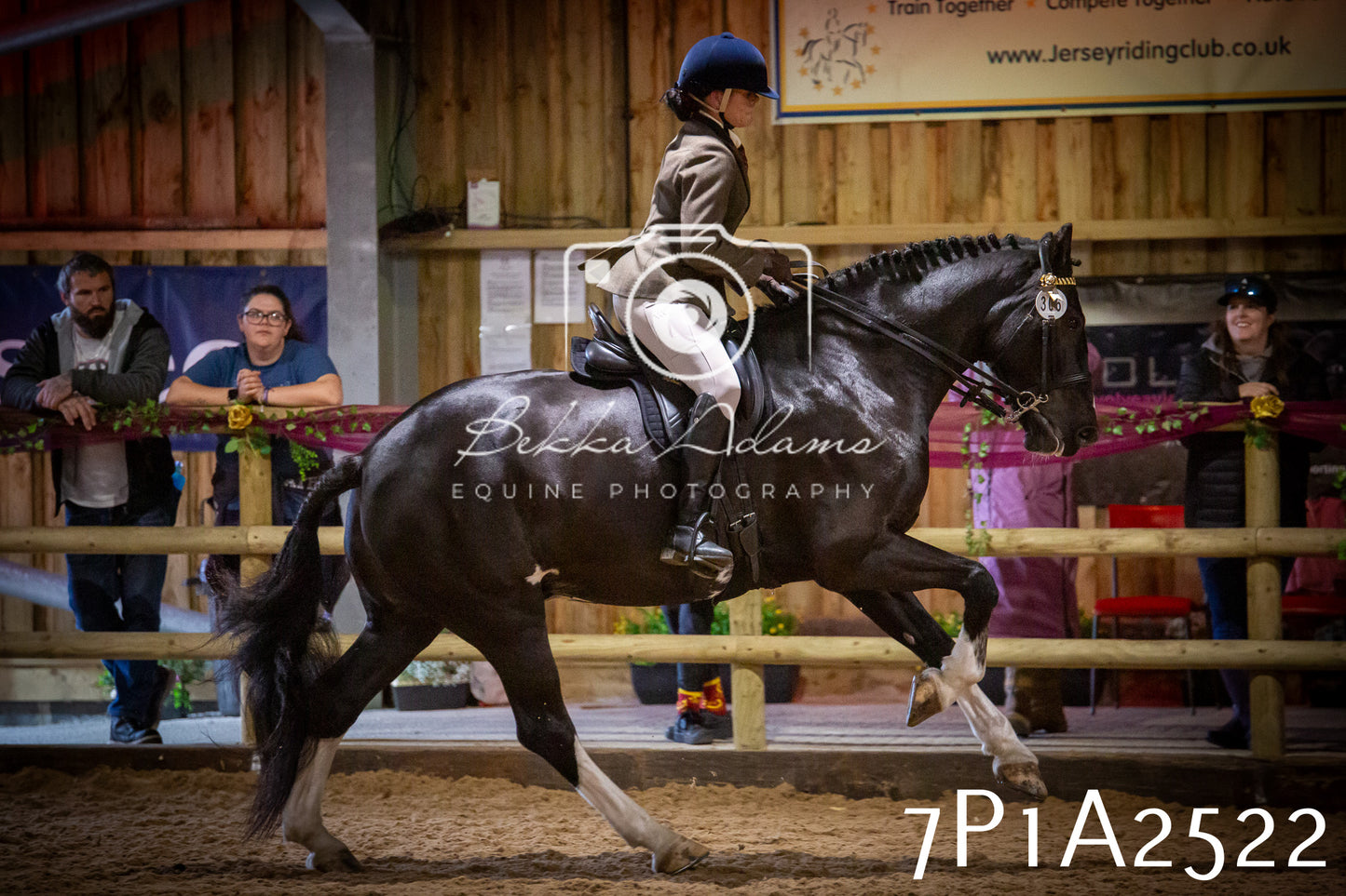 JHOYS 2025 - Ridden Showing - 28th September - pt2