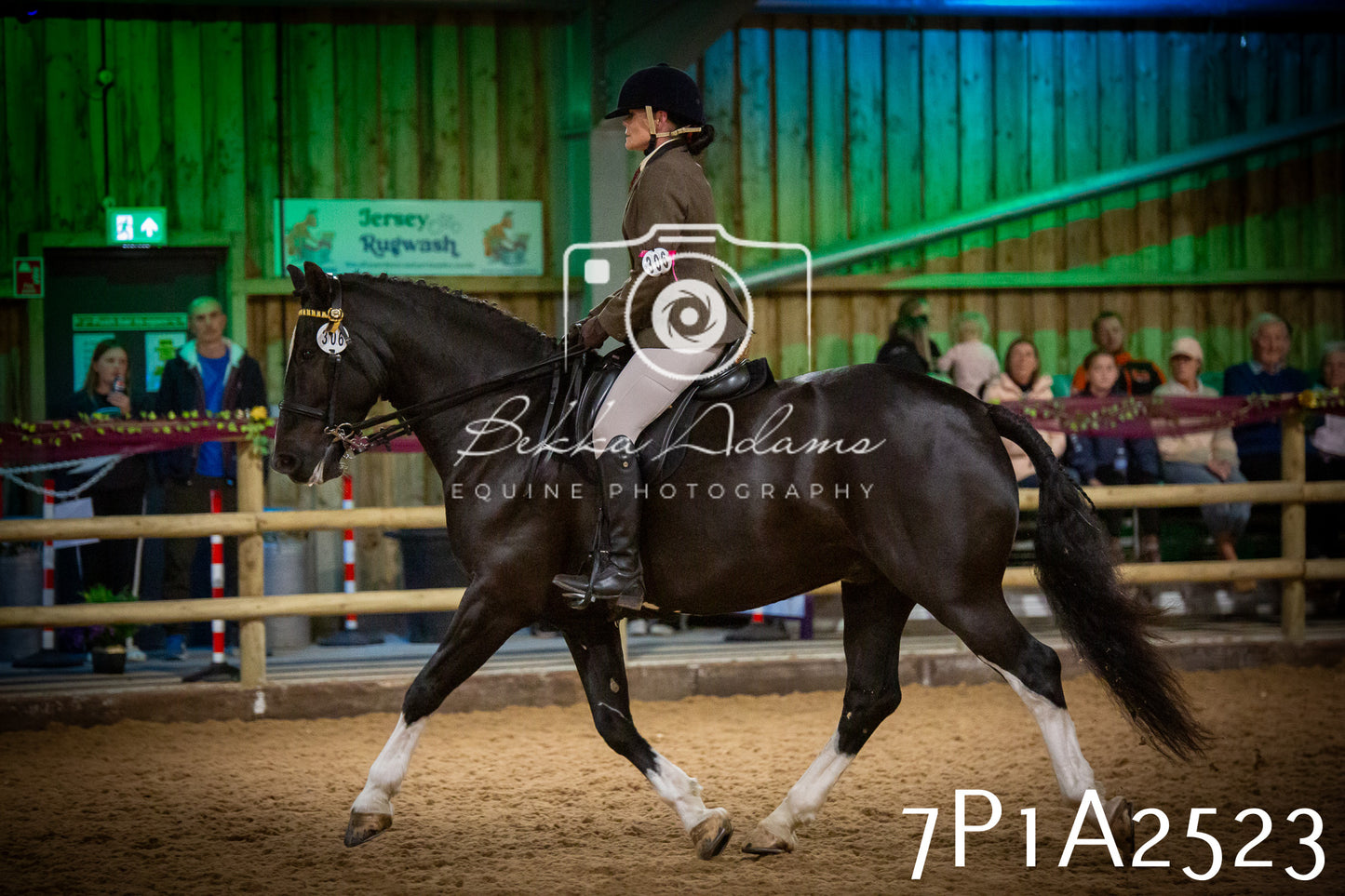 JHOYS 2025 - Ridden Showing - 28th September - pt2