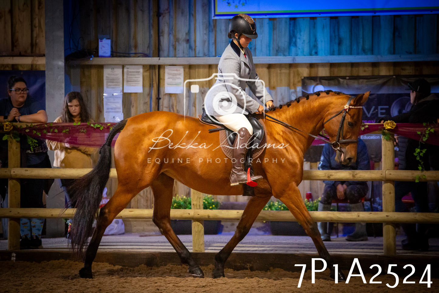 JHOYS 2025 - Ridden Showing - 28th September - pt2