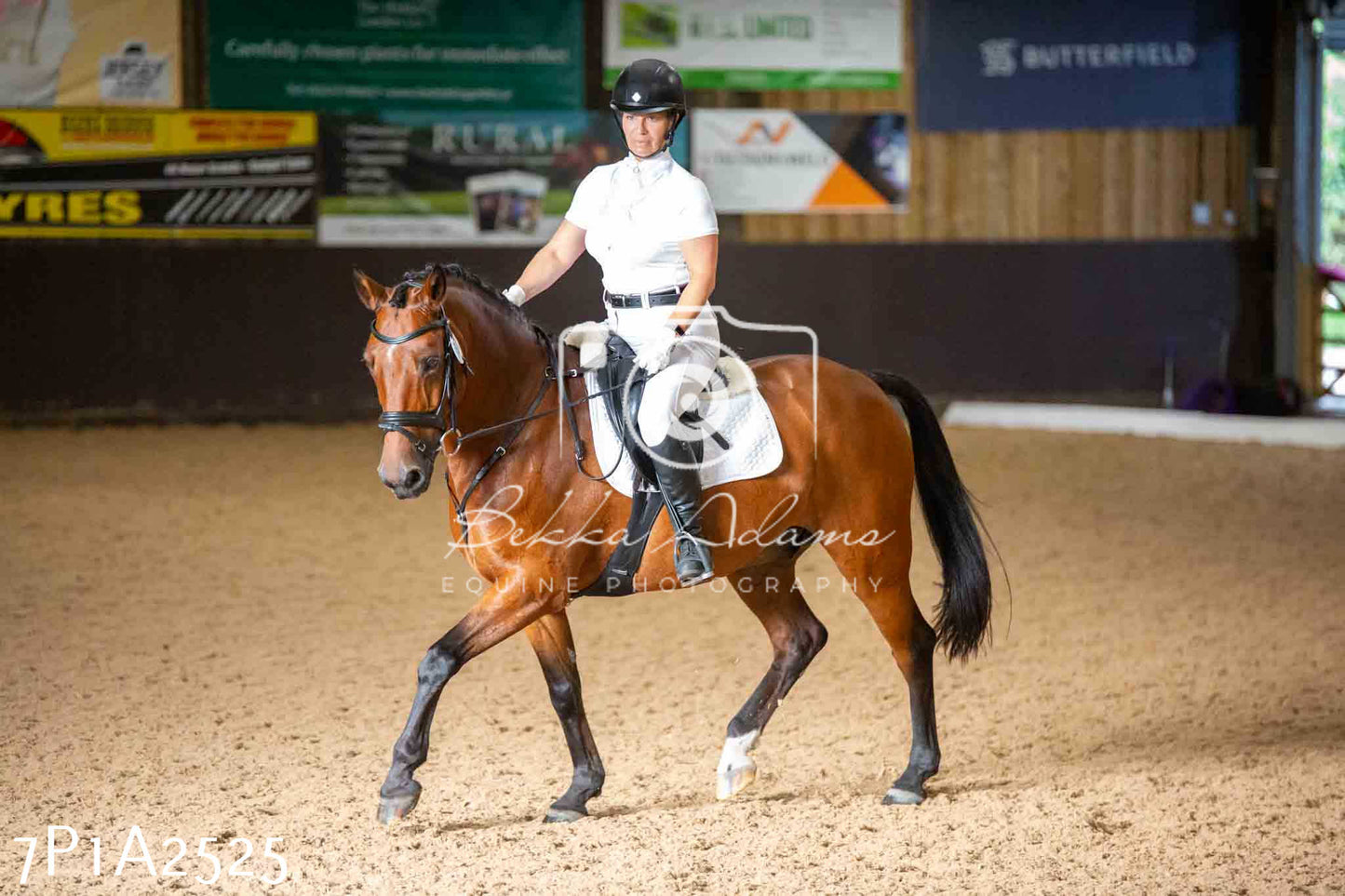 JHOYS 2023 - 6th September - Dressage