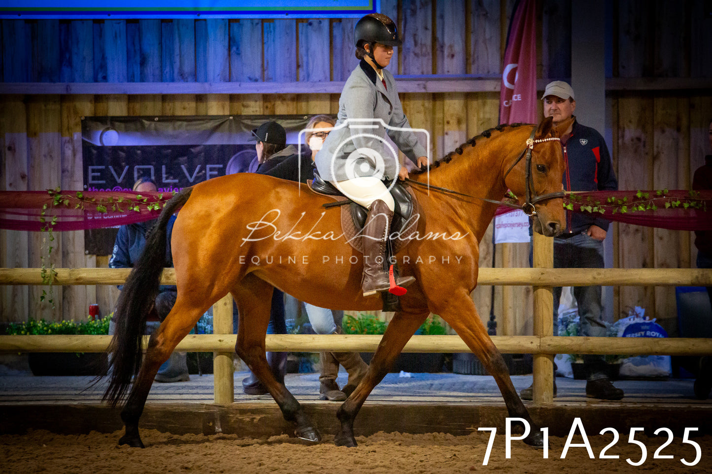 JHOYS 2025 - Ridden Showing - 28th September - pt2