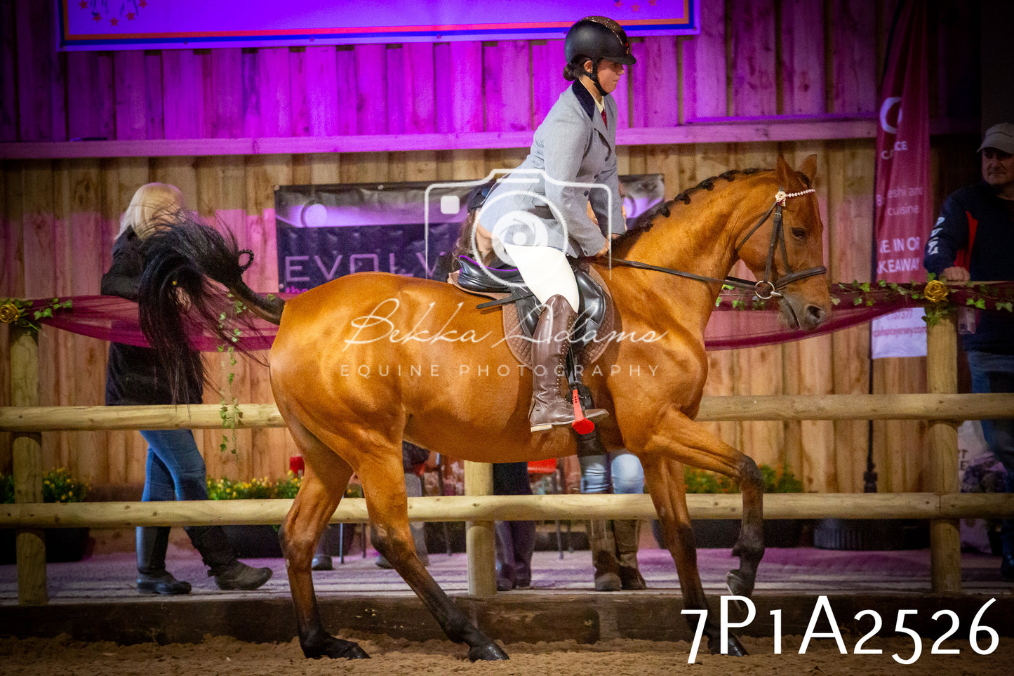 JHOYS 2025 - Ridden Showing - 28th September - pt2