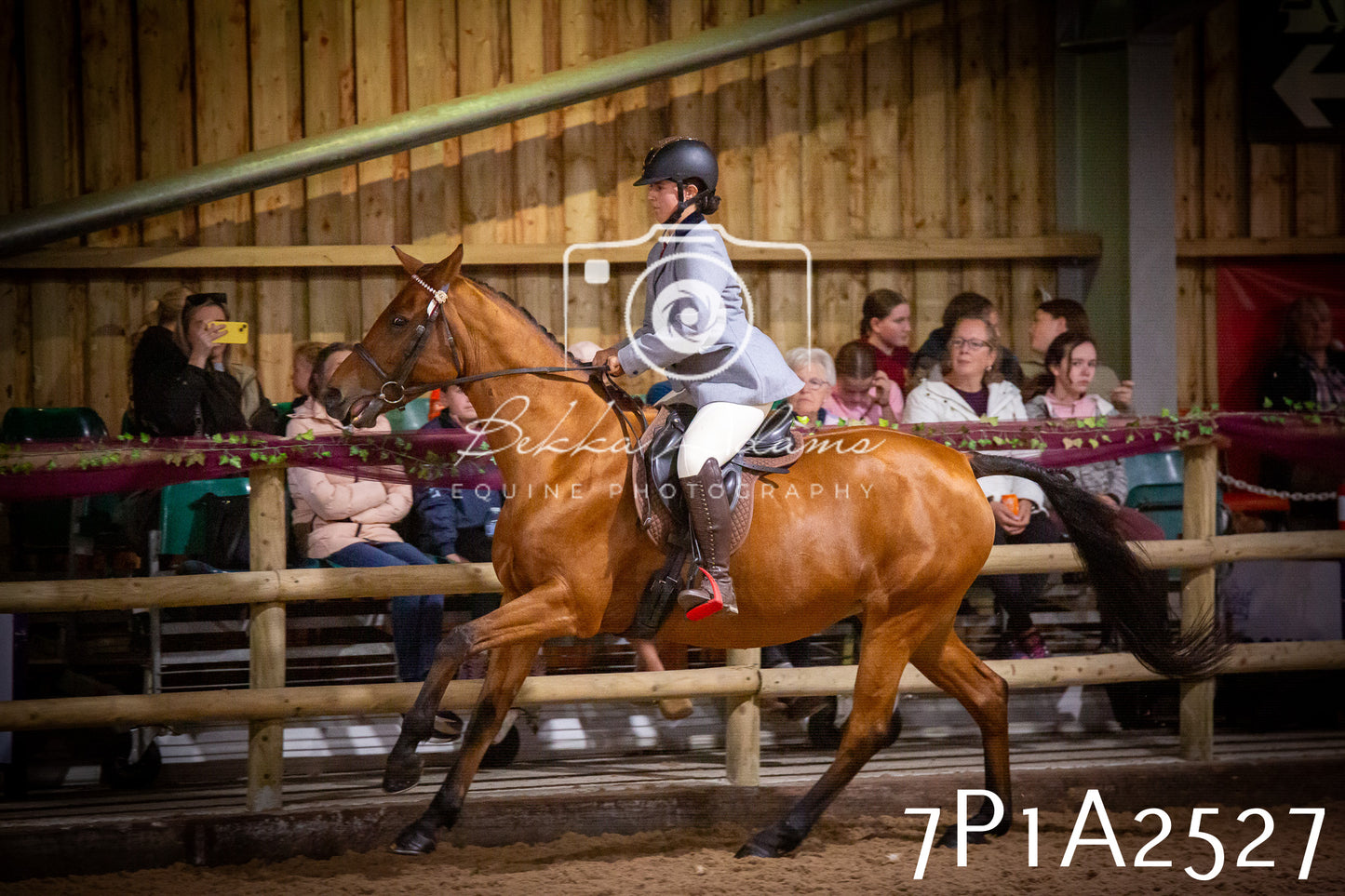 JHOYS 2025 - Ridden Showing - 28th September - pt2