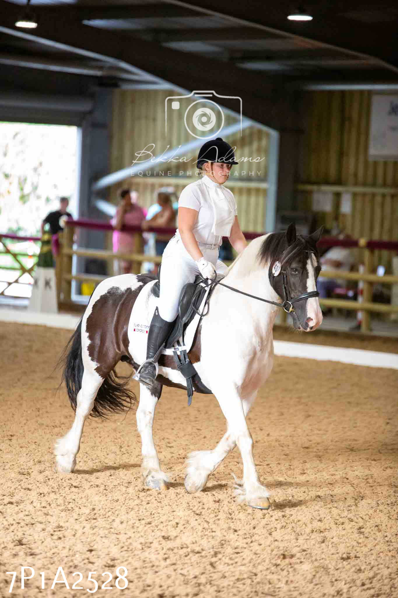 JHOYS 2023 - 6th September - Dressage