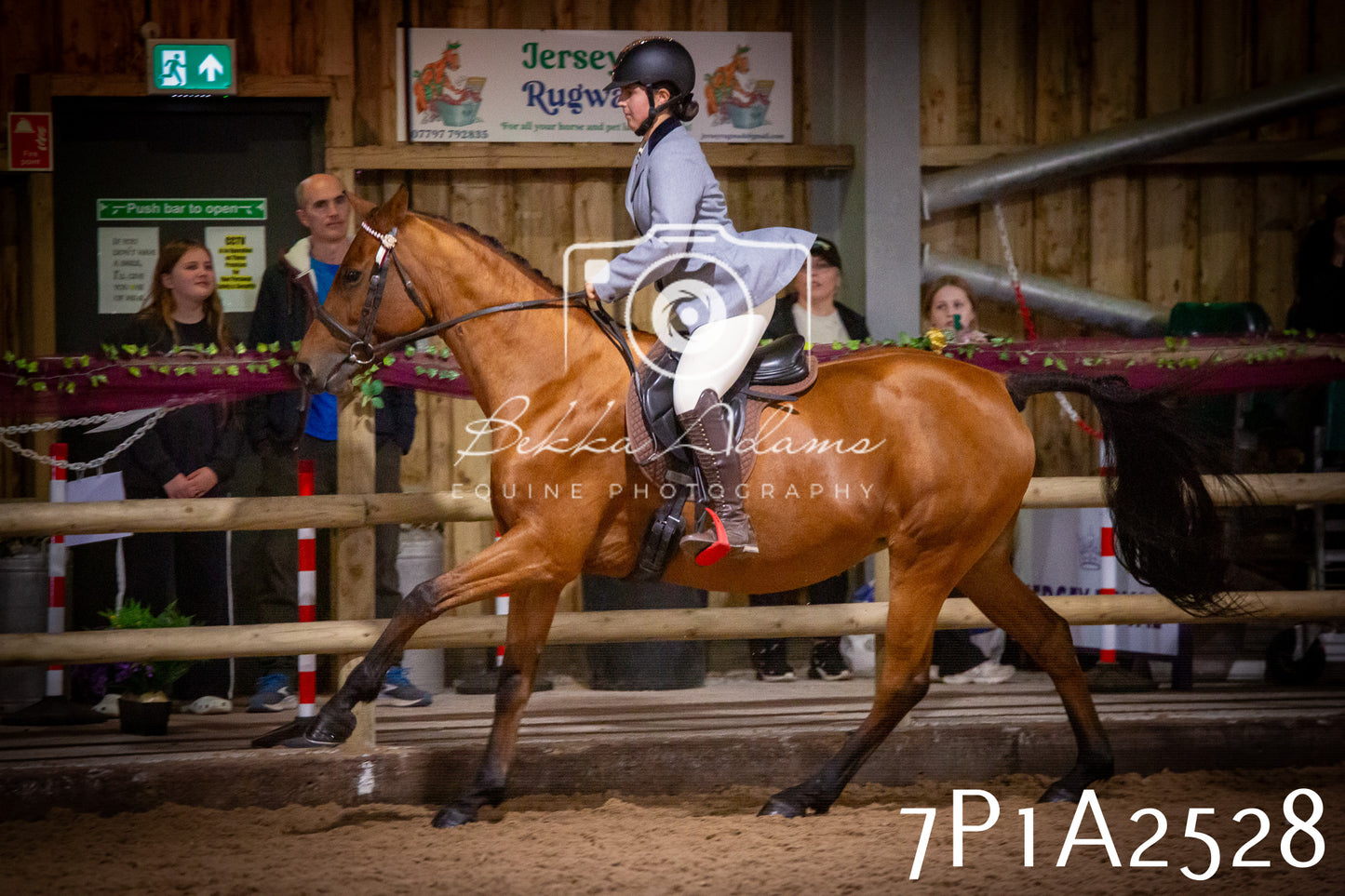 JHOYS 2025 - Ridden Showing - 28th September - pt2
