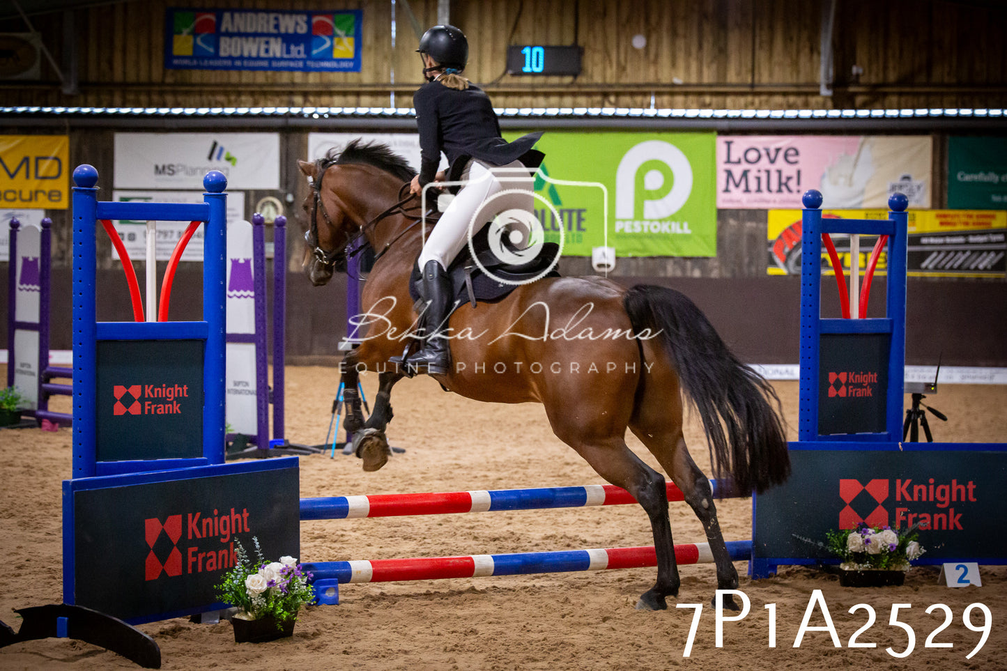 JHOYS 2025 - Show Jumping - 20th September pt1