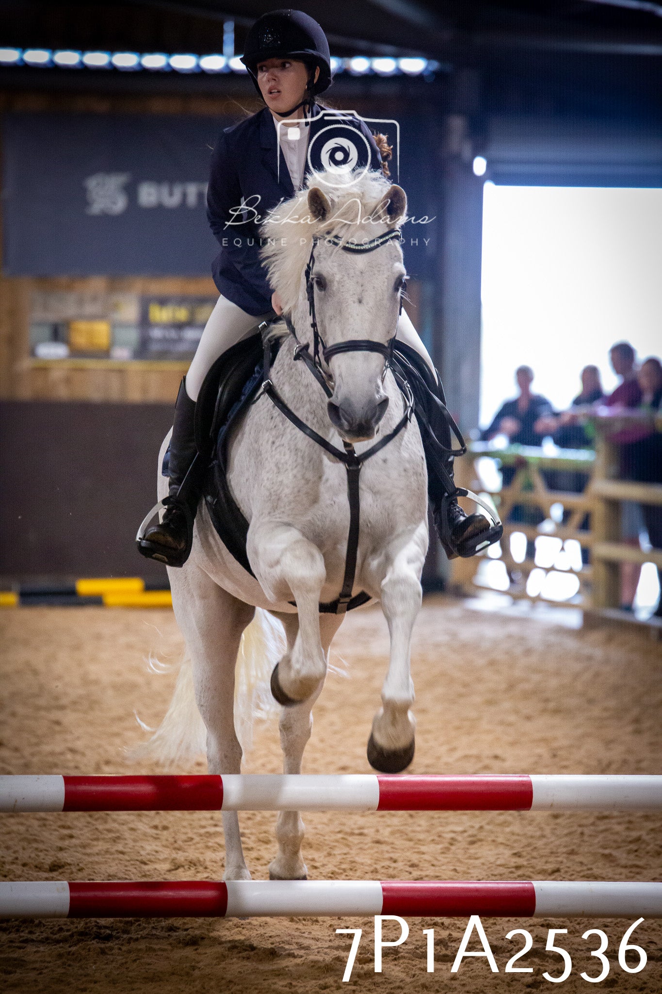 JHOYS 2025 - Show Jumping - 20th September pt1
