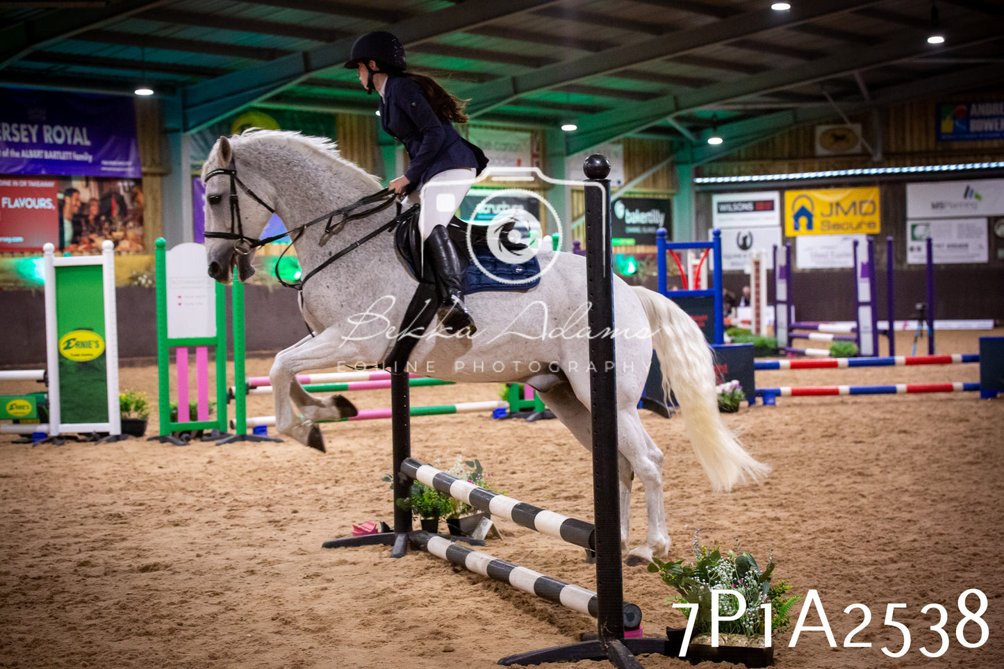 JHOYS 2025 - Show Jumping - 20th September pt1
