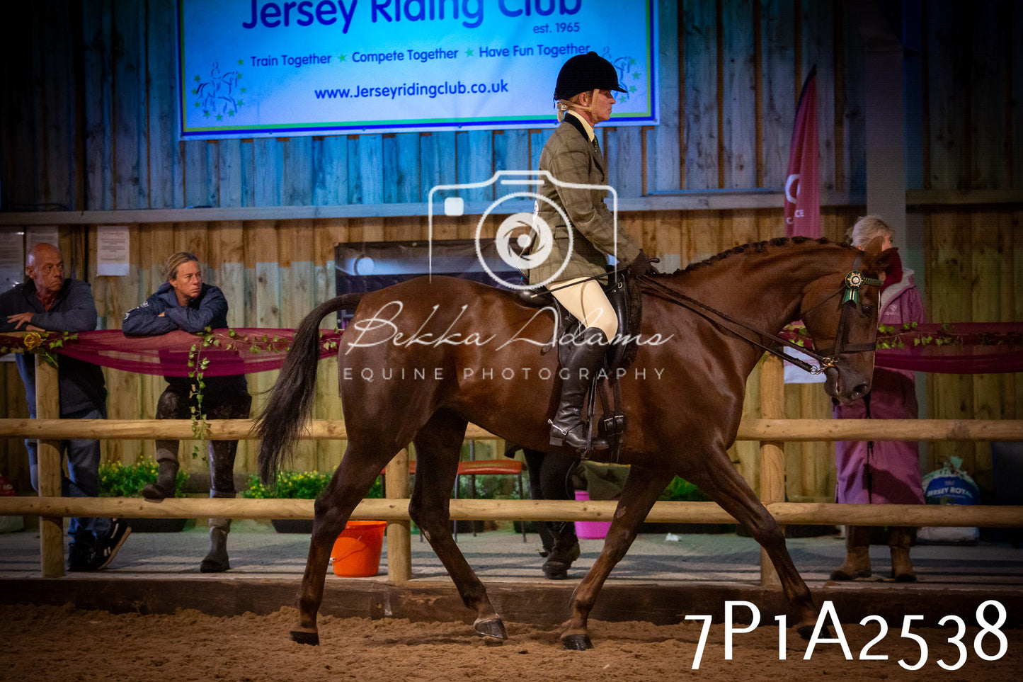 JHOYS 2025 - Ridden Showing - 28th September - pt2