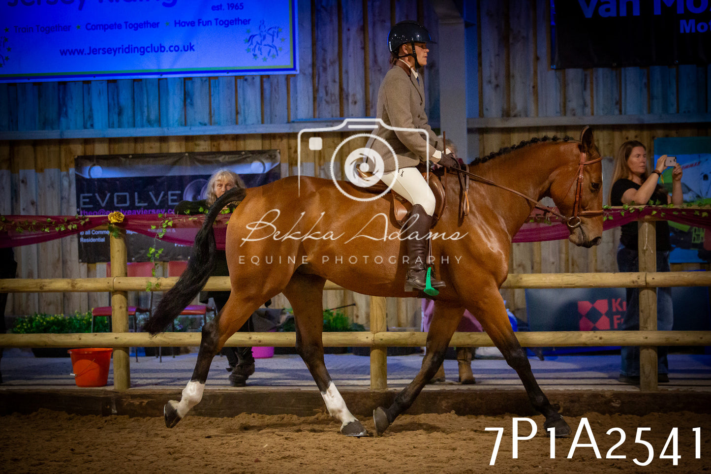 JHOYS 2025 - Ridden Showing - 28th September - pt2