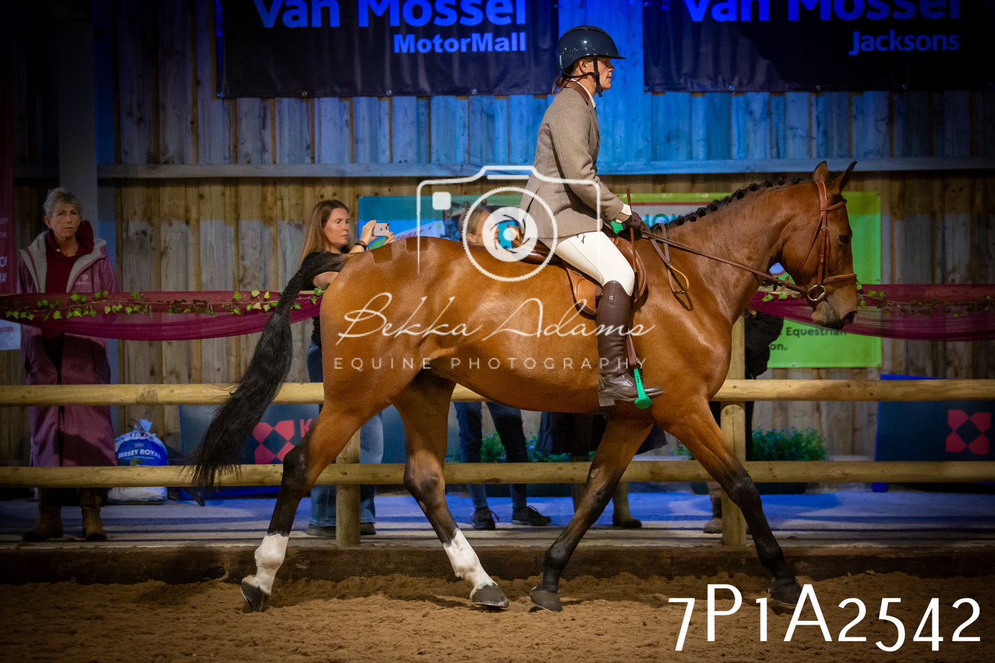 JHOYS 2025 - Ridden Showing - 28th September - pt2