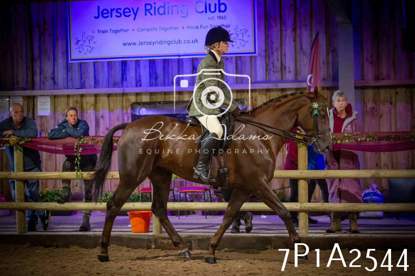JHOYS 2025 - Ridden Showing - 28th September - pt2