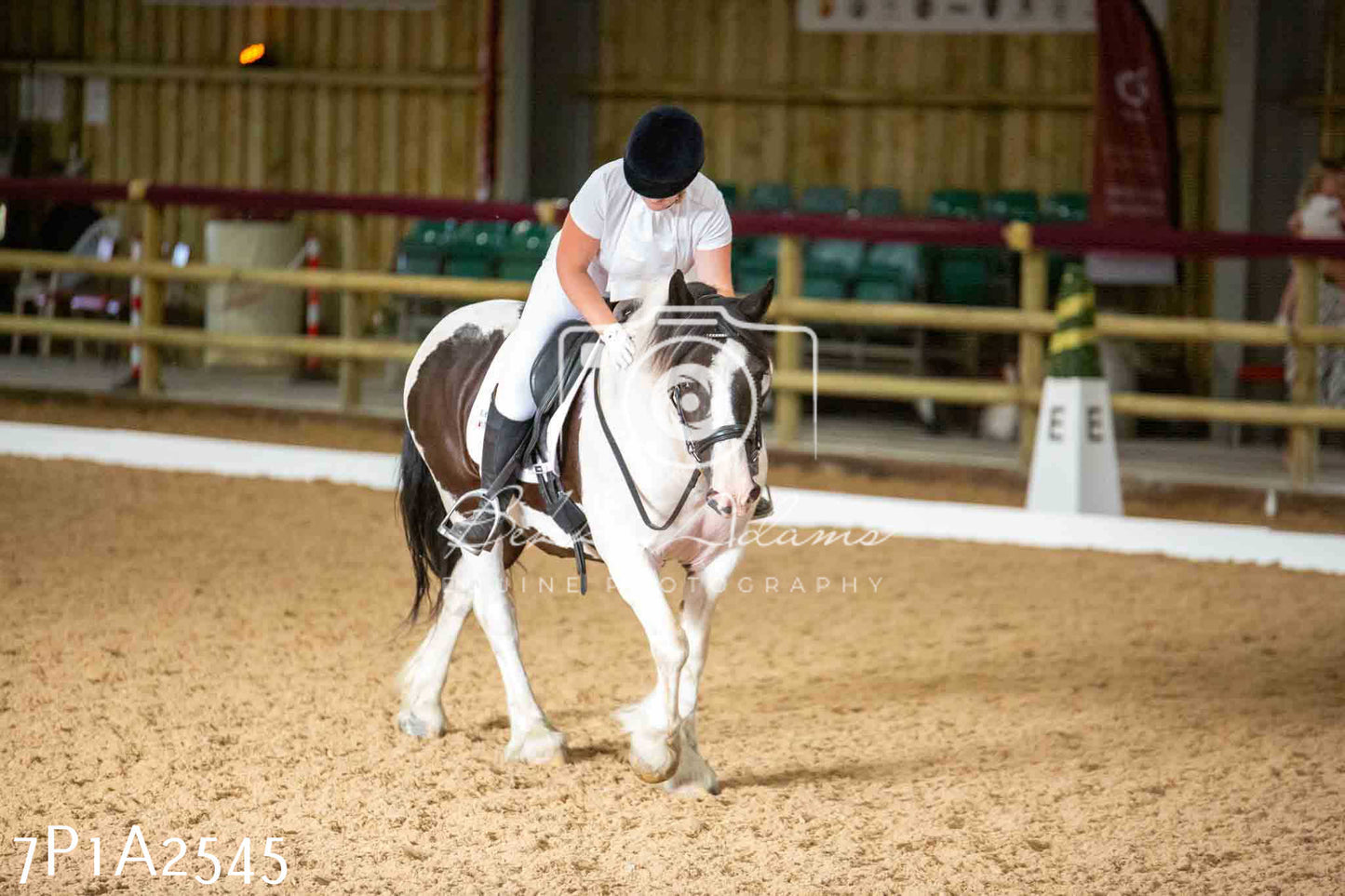 JHOYS 2023 - 6th September - Dressage