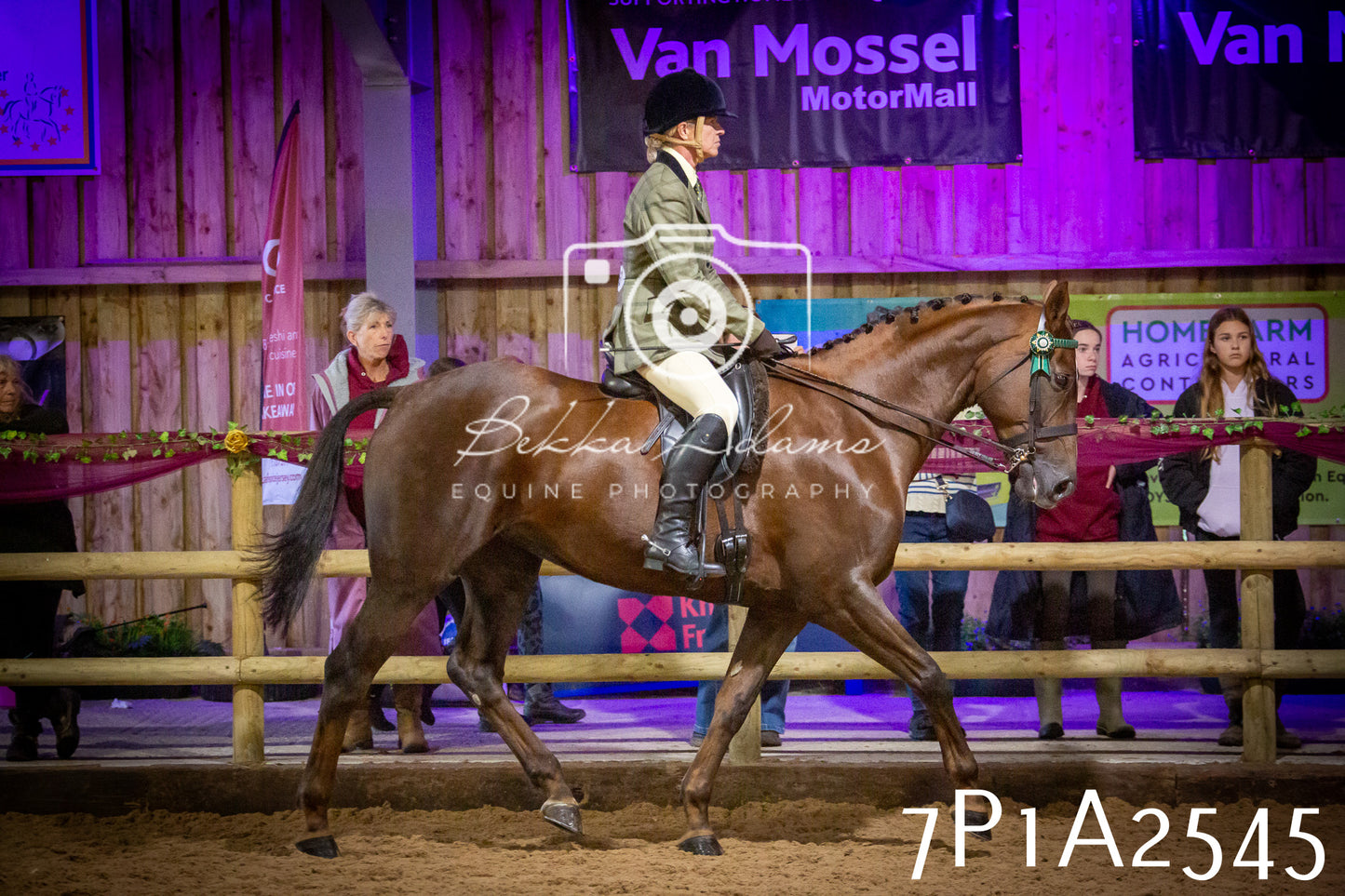 JHOYS 2025 - Ridden Showing - 28th September - pt2