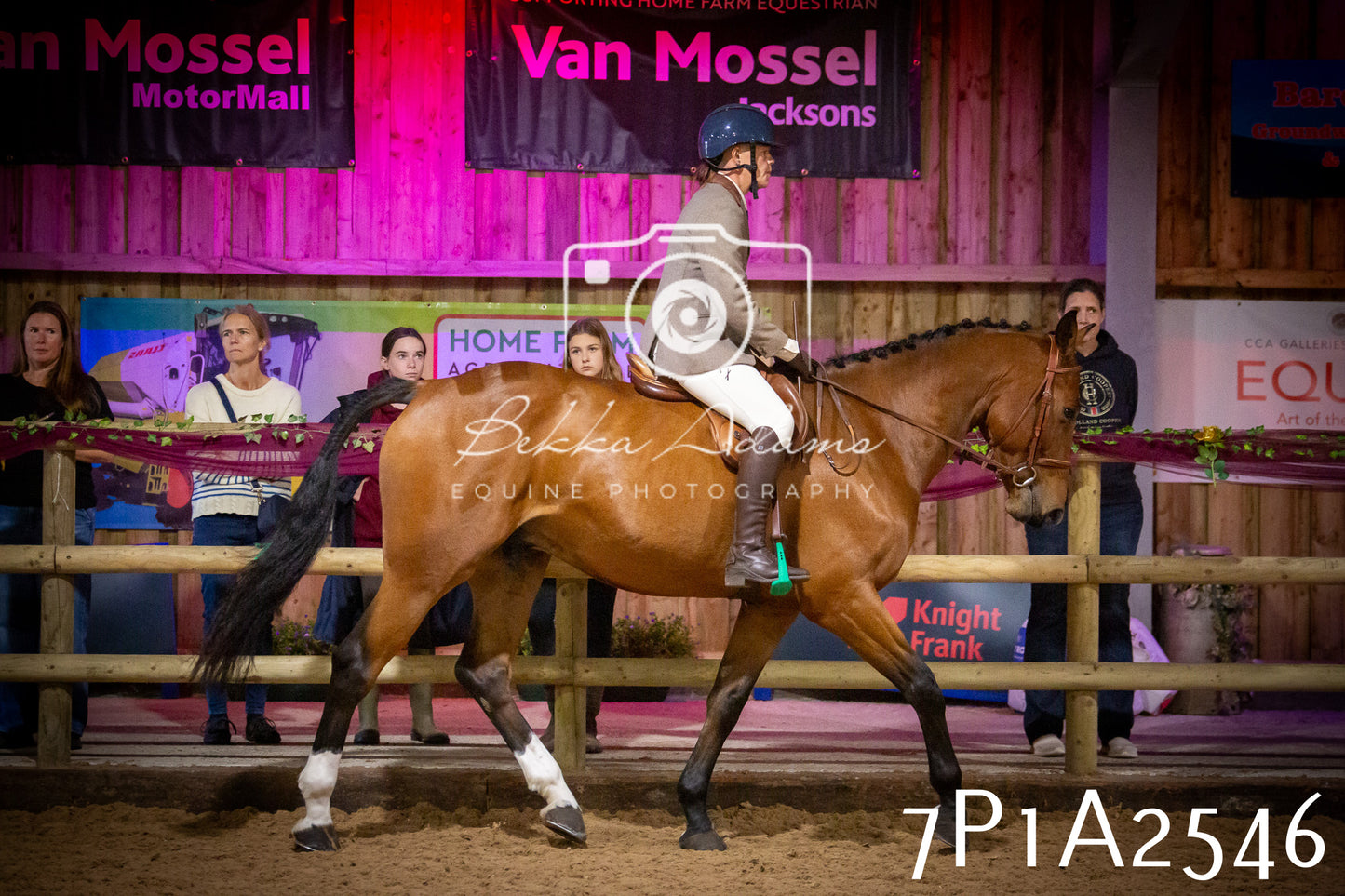 JHOYS 2025 - Ridden Showing - 28th September - pt2