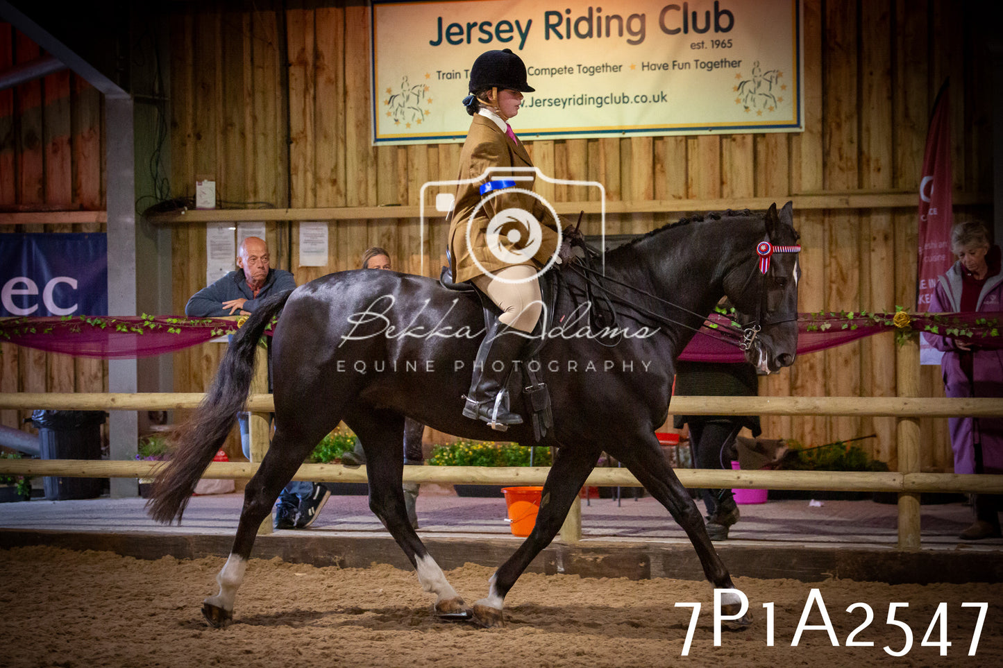 JHOYS 2025 - Ridden Showing - 28th September - pt2