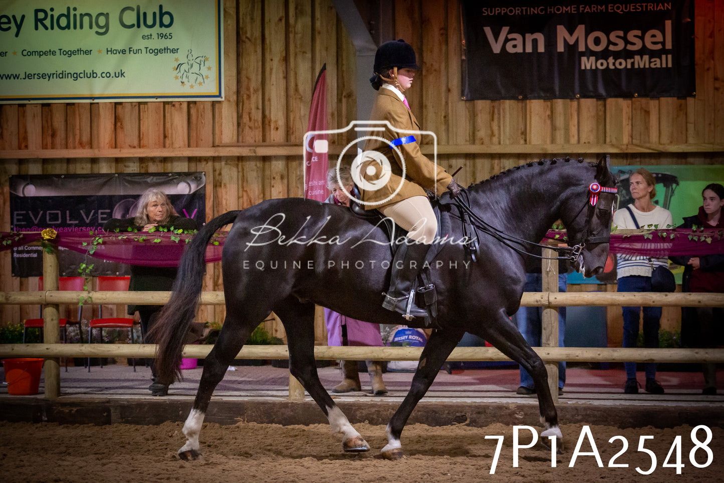JHOYS 2025 - Ridden Showing - 28th September - pt2