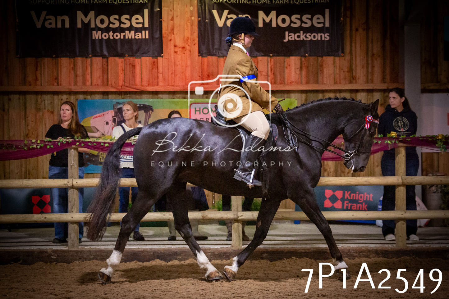 JHOYS 2025 - Ridden Showing - 28th September - pt2