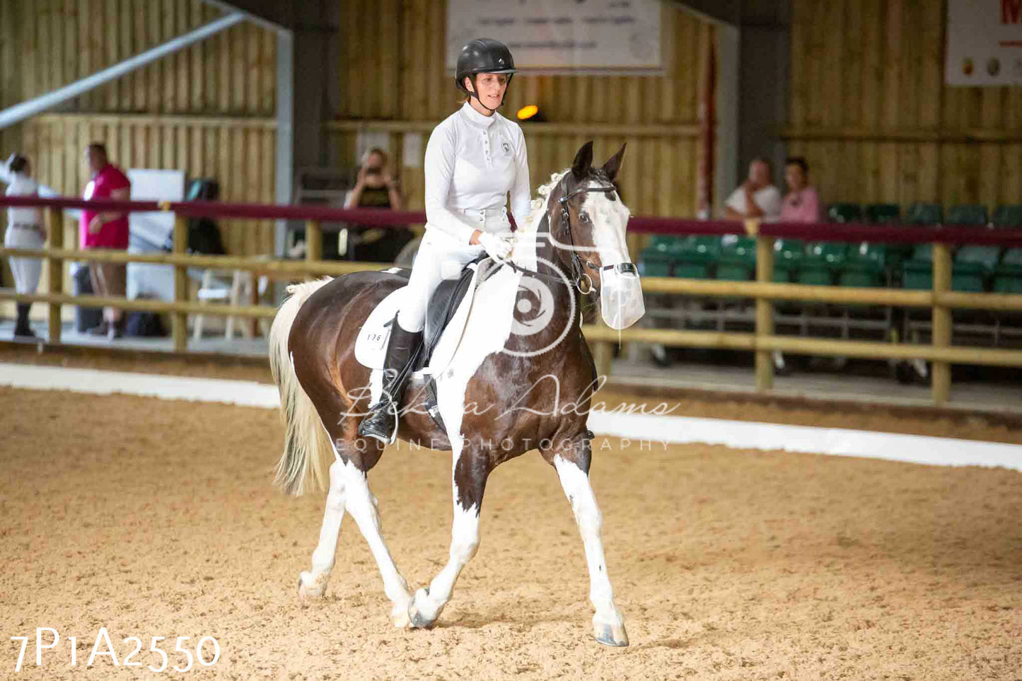 JHOYS 2023 - 6th September - Dressage