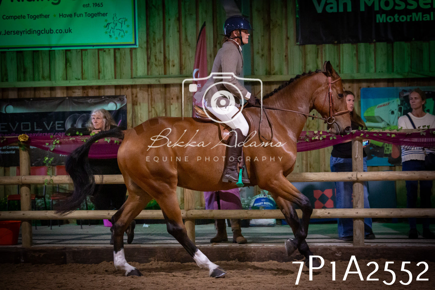 JHOYS 2025 - Ridden Showing - 28th September - pt2