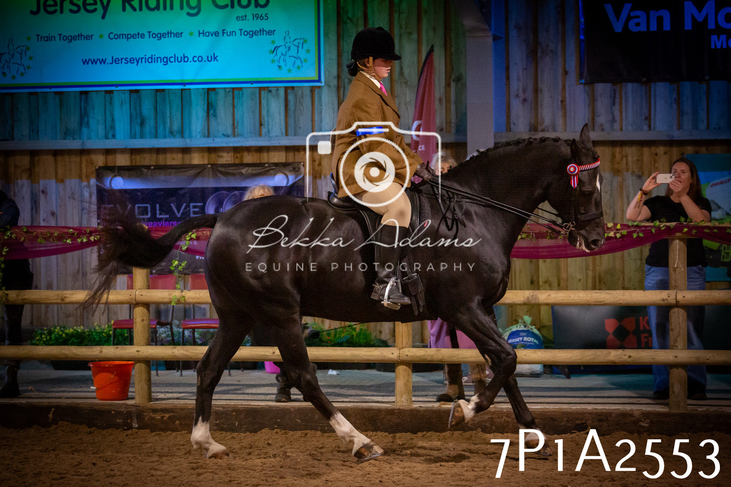 JHOYS 2025 - Ridden Showing - 28th September - pt2