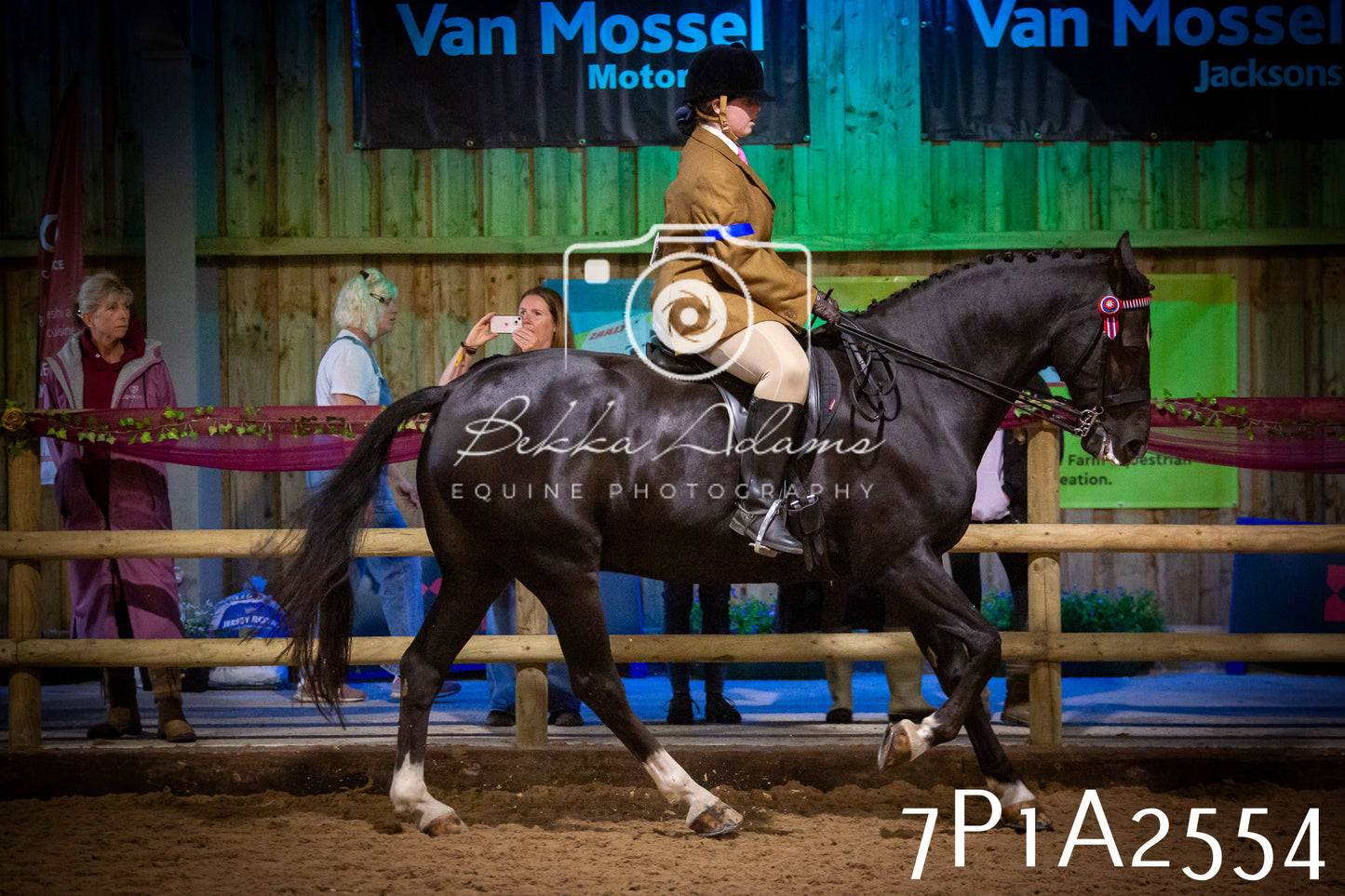JHOYS 2025 - Ridden Showing - 28th September - pt2