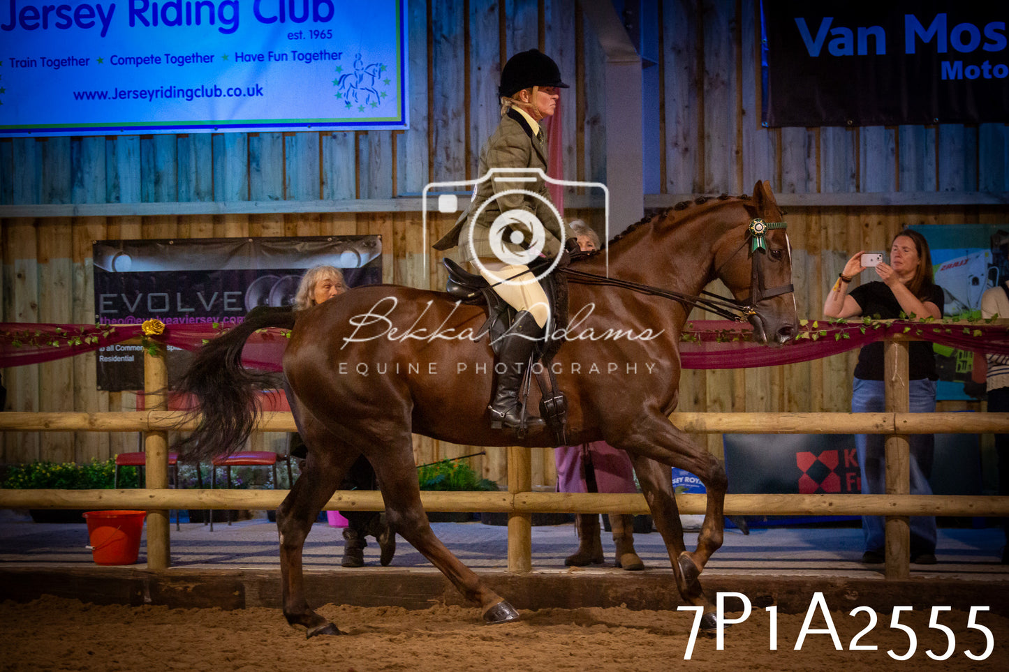 JHOYS 2025 - Ridden Showing - 28th September - pt2